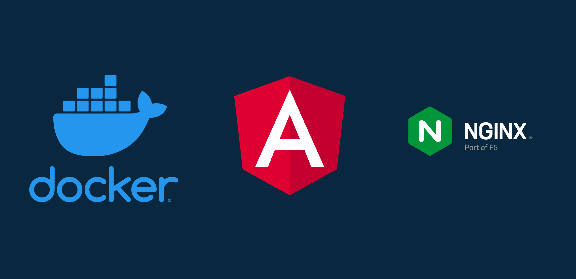How to Serve an Angular App with nginx in Docker | TypeOfNaN
